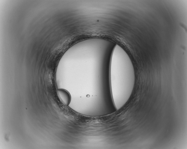 X0000102000643200807180849