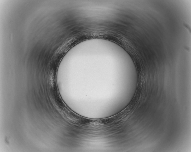 X0000102000644200807180849