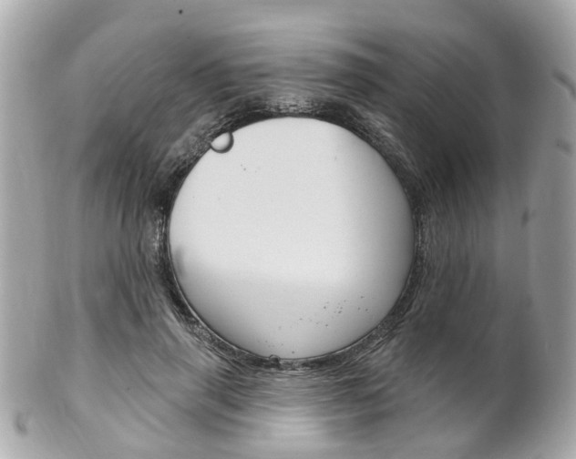 X0000102000645200807180849