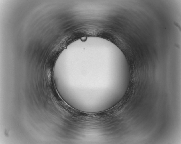 X0000102000646200807180849