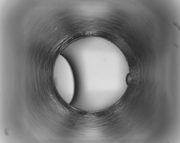 X0000102000648200807180849