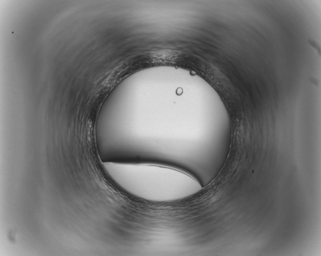 X0000102000649200807180849