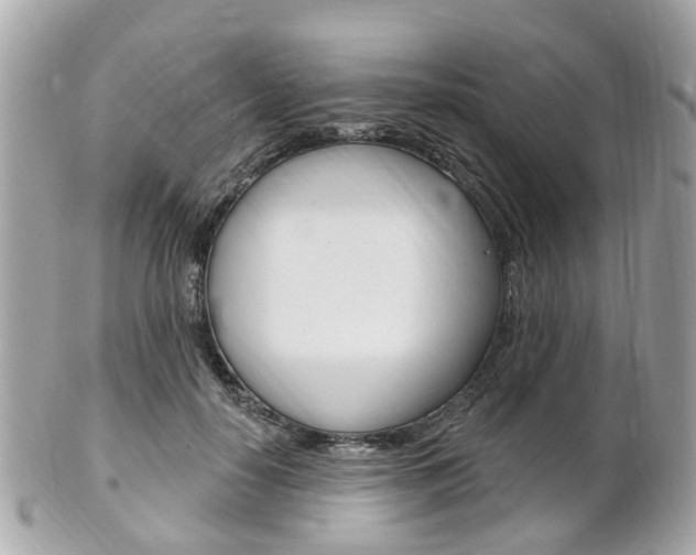 X0000102000650200807180849
