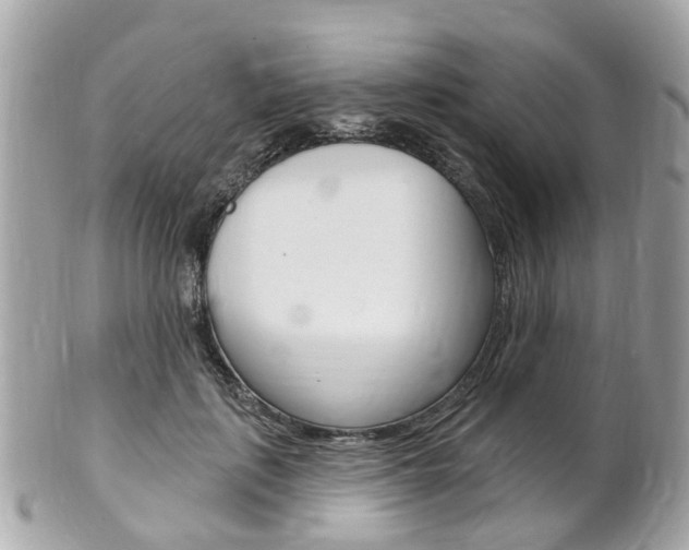 X0000102000651200807180849