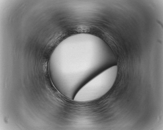 X0000102000652200807180849
