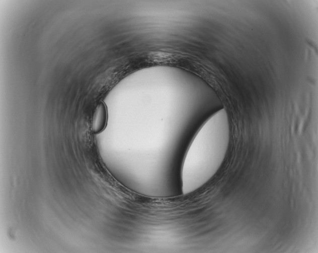 X0000102000653200807180849