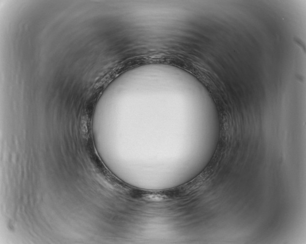 X0000102000654200807180849