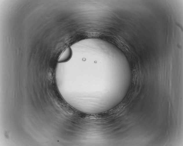X0000102000655200807180849