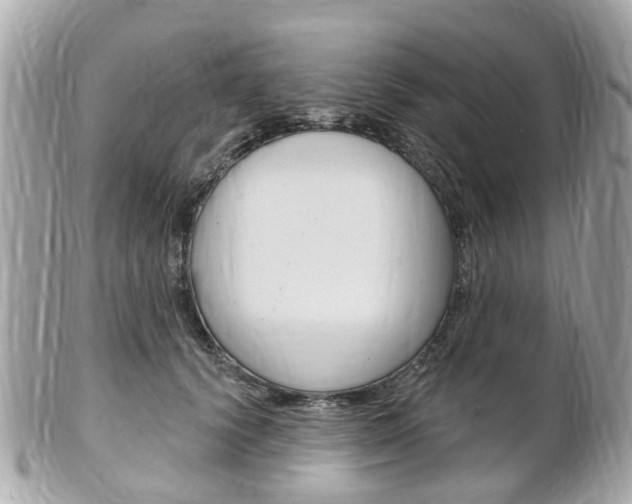 X0000102000656200807180849
