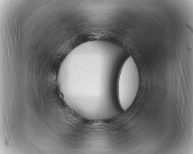 X0000102000657200807180849