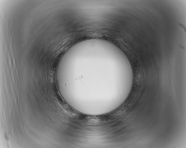 X0000102000658200807180849