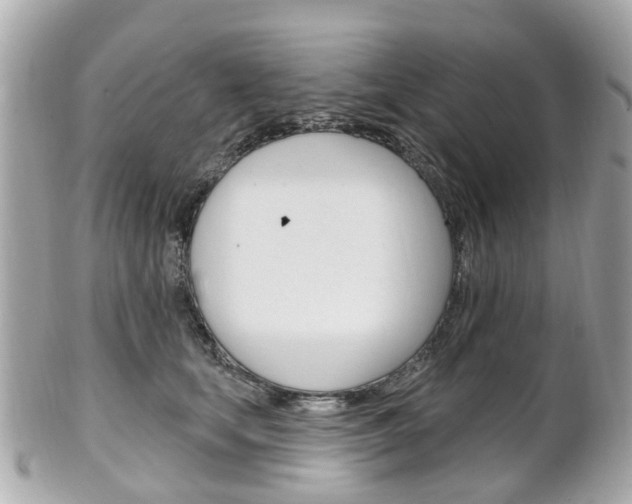X0000102000659200807180849