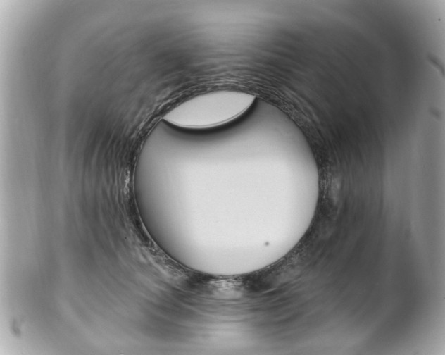 X0000102000660200807180849