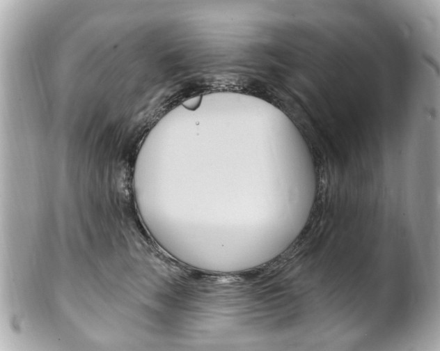X0000102000663200807180849