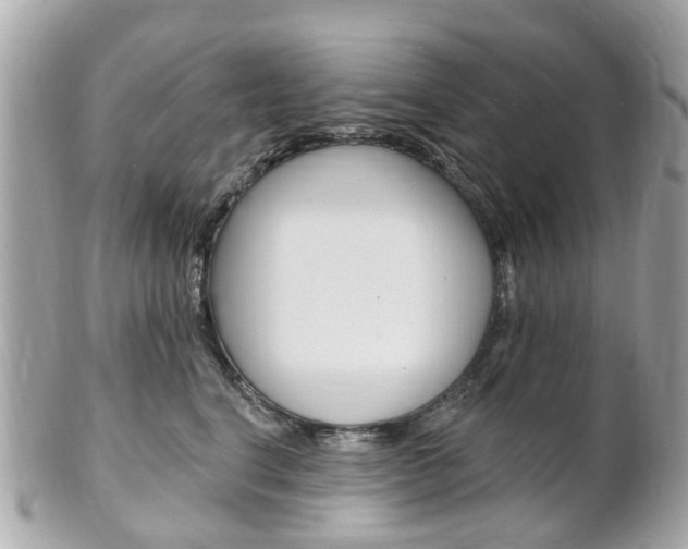 X0000102000664200807180849