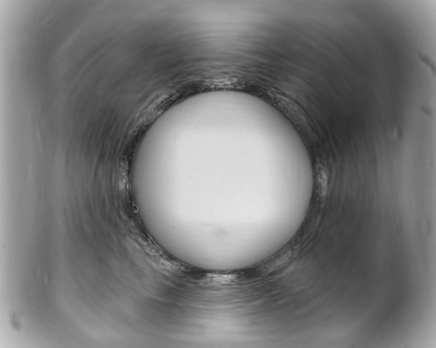 X0000102000665200807180849