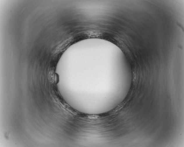 X0000102000666200807180849