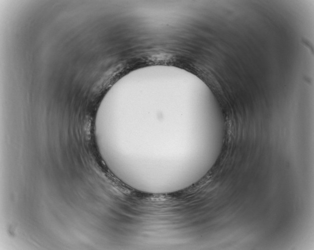 X0000102000668200807180849