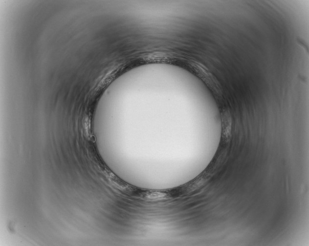 X0000102000669200807180849