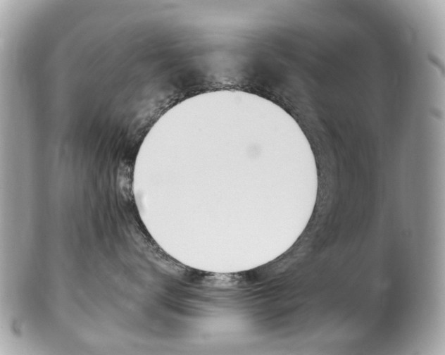X0000102000672200807180849