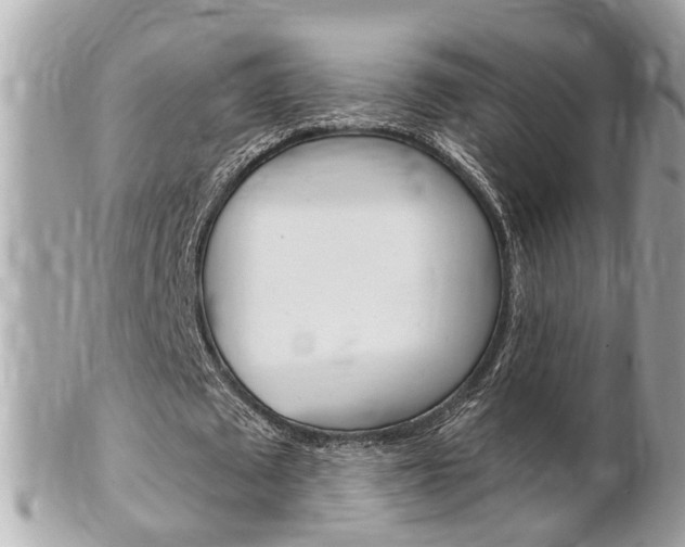 X0000102000673200807180849