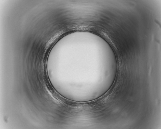 X0000102000674200807180849