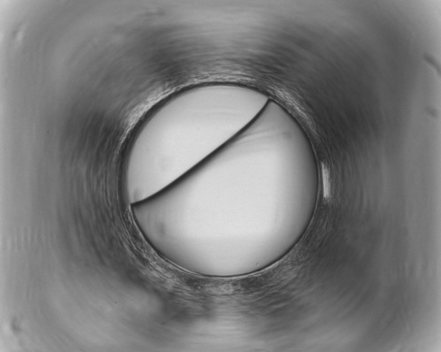 X0000102000675200807180849