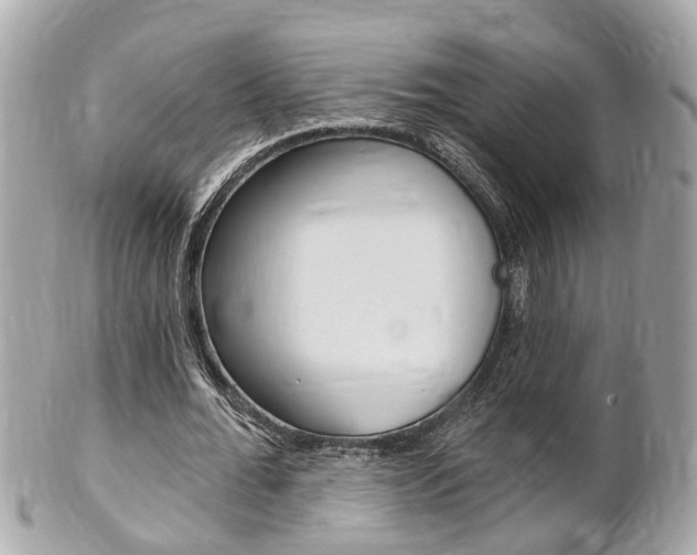 X0000102000676200807180849