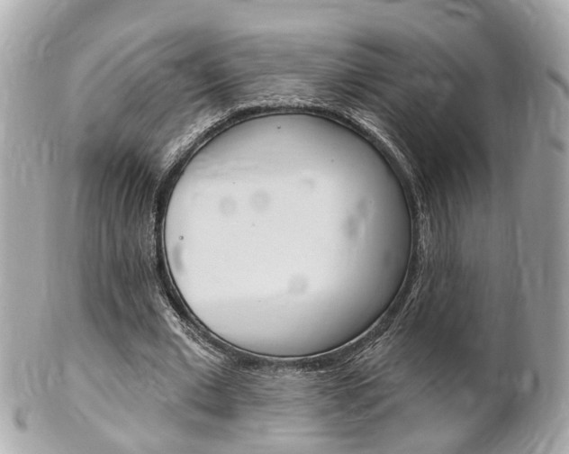 X0000102000677200807180849