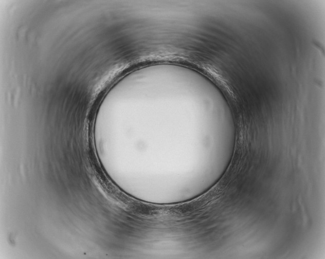 X0000102000678200807180849