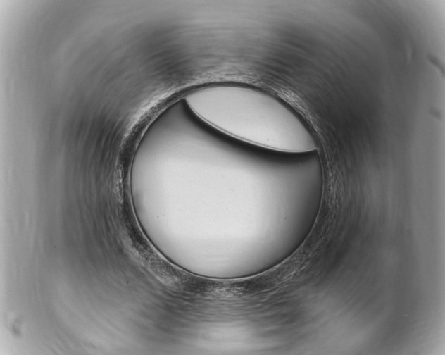 X0000102000680200807180849
