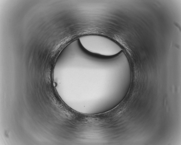 X0000102000681200807180849
