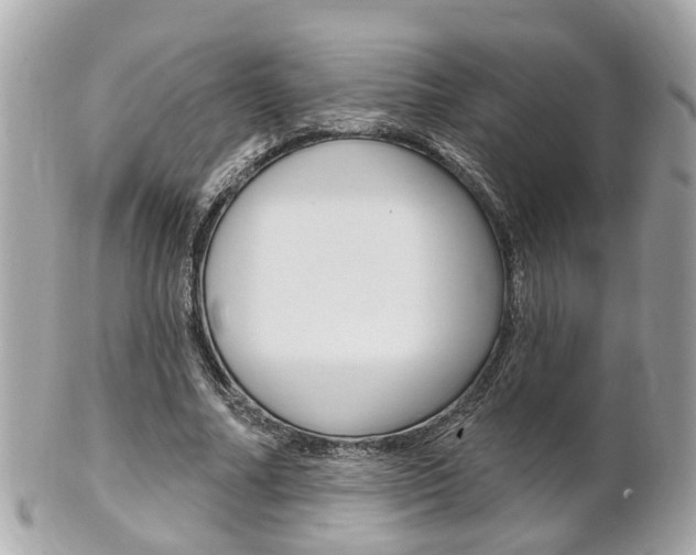 X0000102000682200807180849
