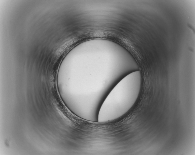 X0000102000683200807180849