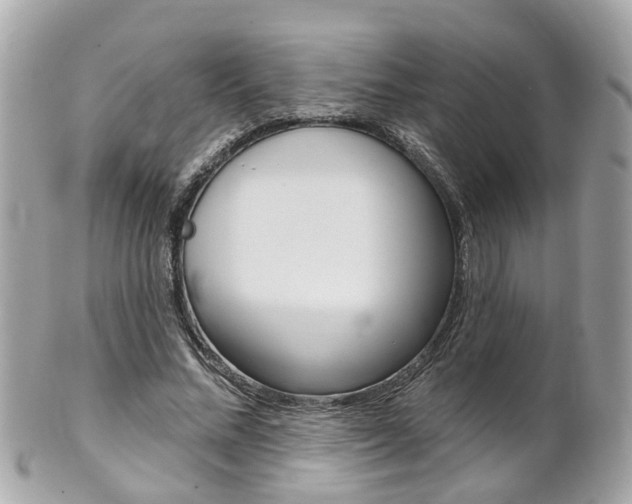 X0000102000684200807180849
