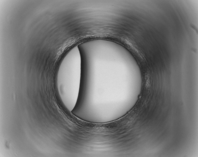 X0000102000685200807180849