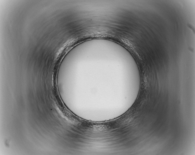 X0000102000686200807180849