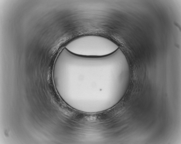 X0000102000687200807180849