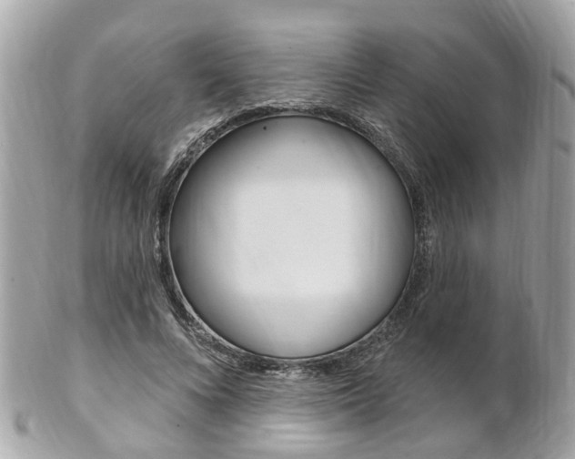 X0000102000688200807180849