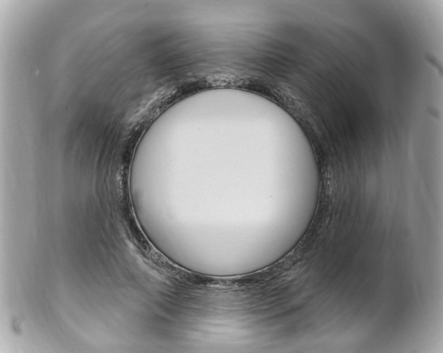 X0000102000690200807180849