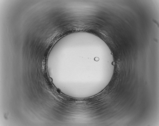 X0000102000691200807180849