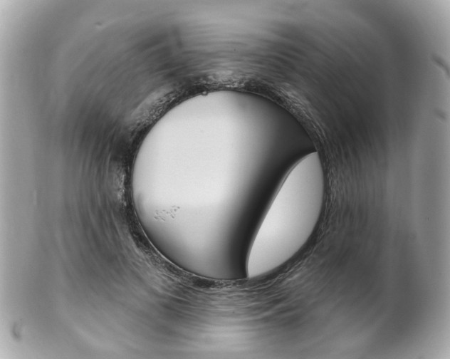 X0000102000693200807180848