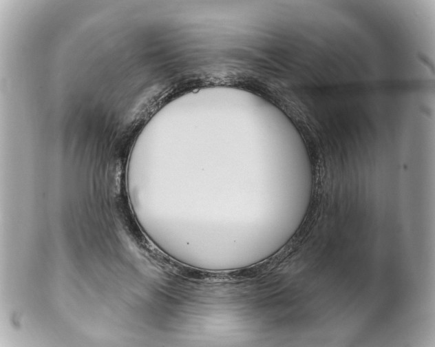X0000102000694200807180848