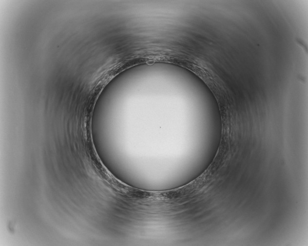 X0000102000696200807180848
