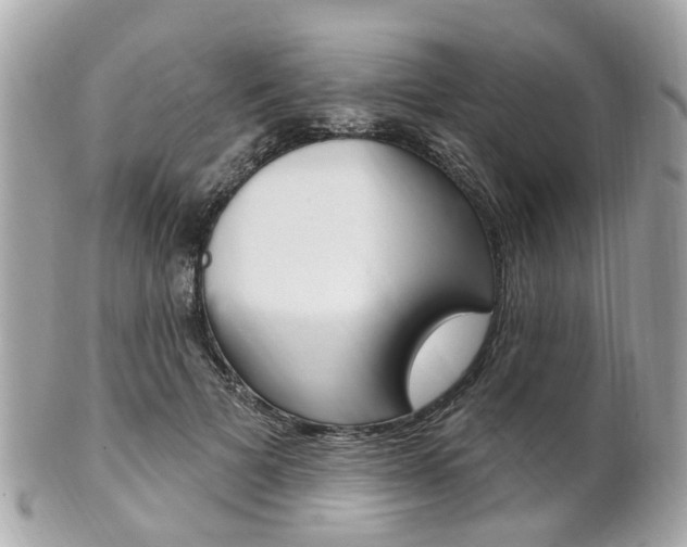 X0000102000697200807180848