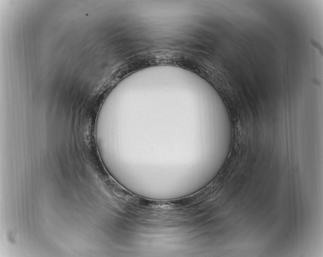 X0000102000698200807180848