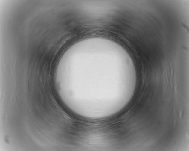 X0000102000701200807180848