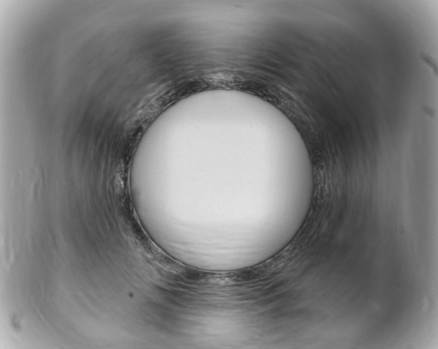 X0000102000702200807180848