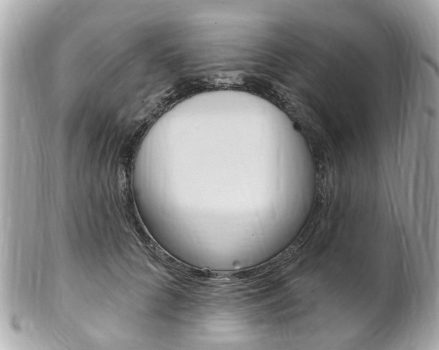 X0000102000704200807180848