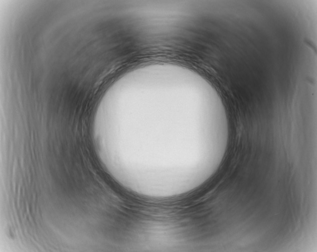 X0000102000705200807180848
